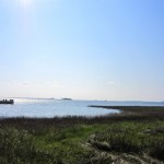 IMG_0919
