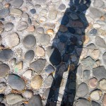 IMG_0928
