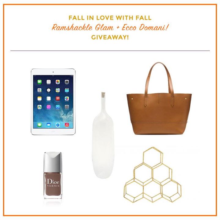 ecco domani giveaway