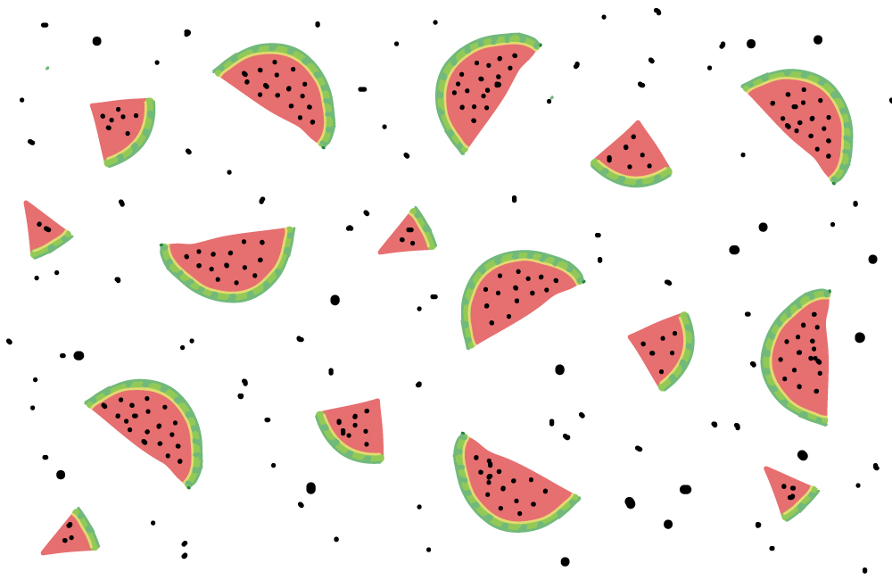 illustration of watermelon by erin williams