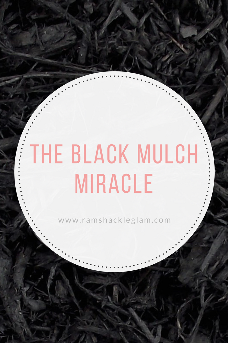 how to use black mulch for your home exterior landscaping